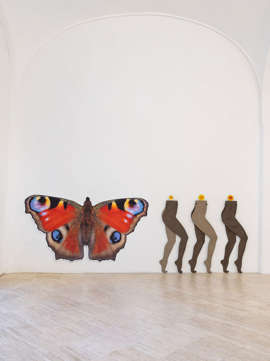 anthea-hamilton-calzedonia-hot-legs-2025