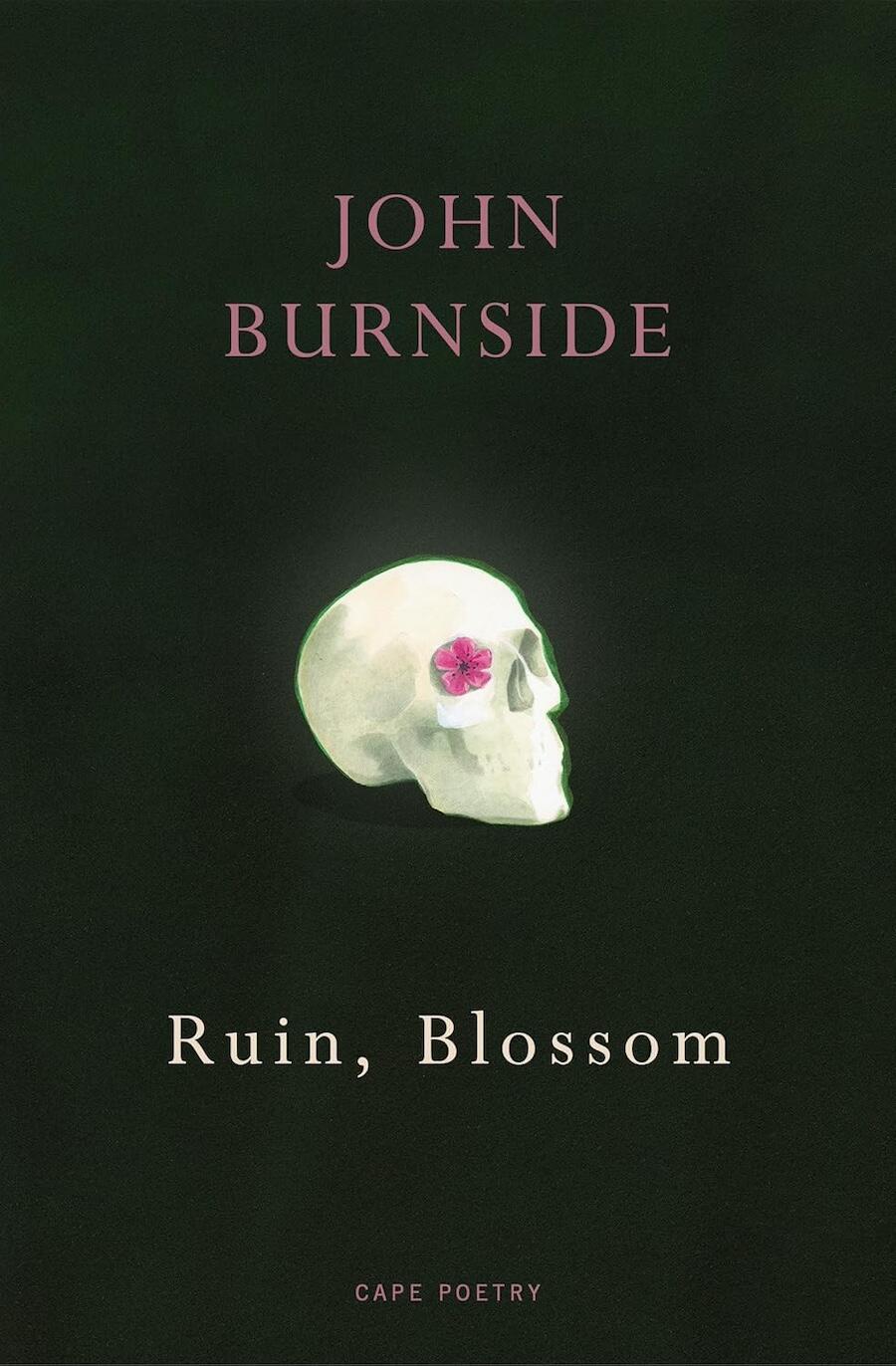 burnside-ruin-blossom