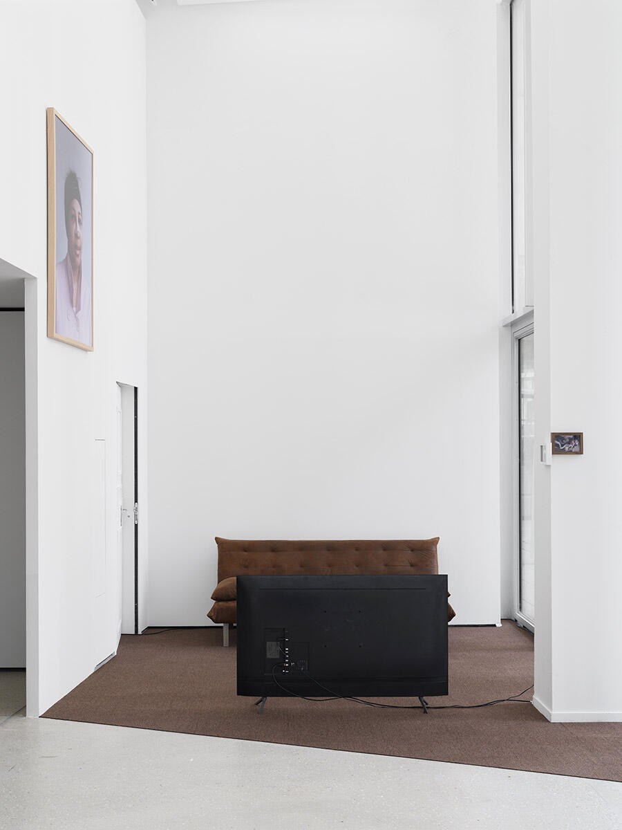 ferocity-at-home-installation-2025