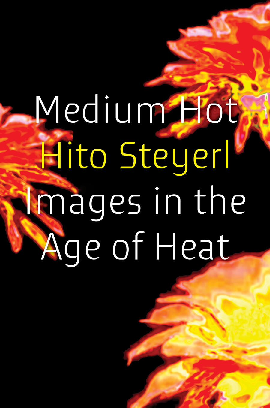 hito-steyerl-medium-hot
