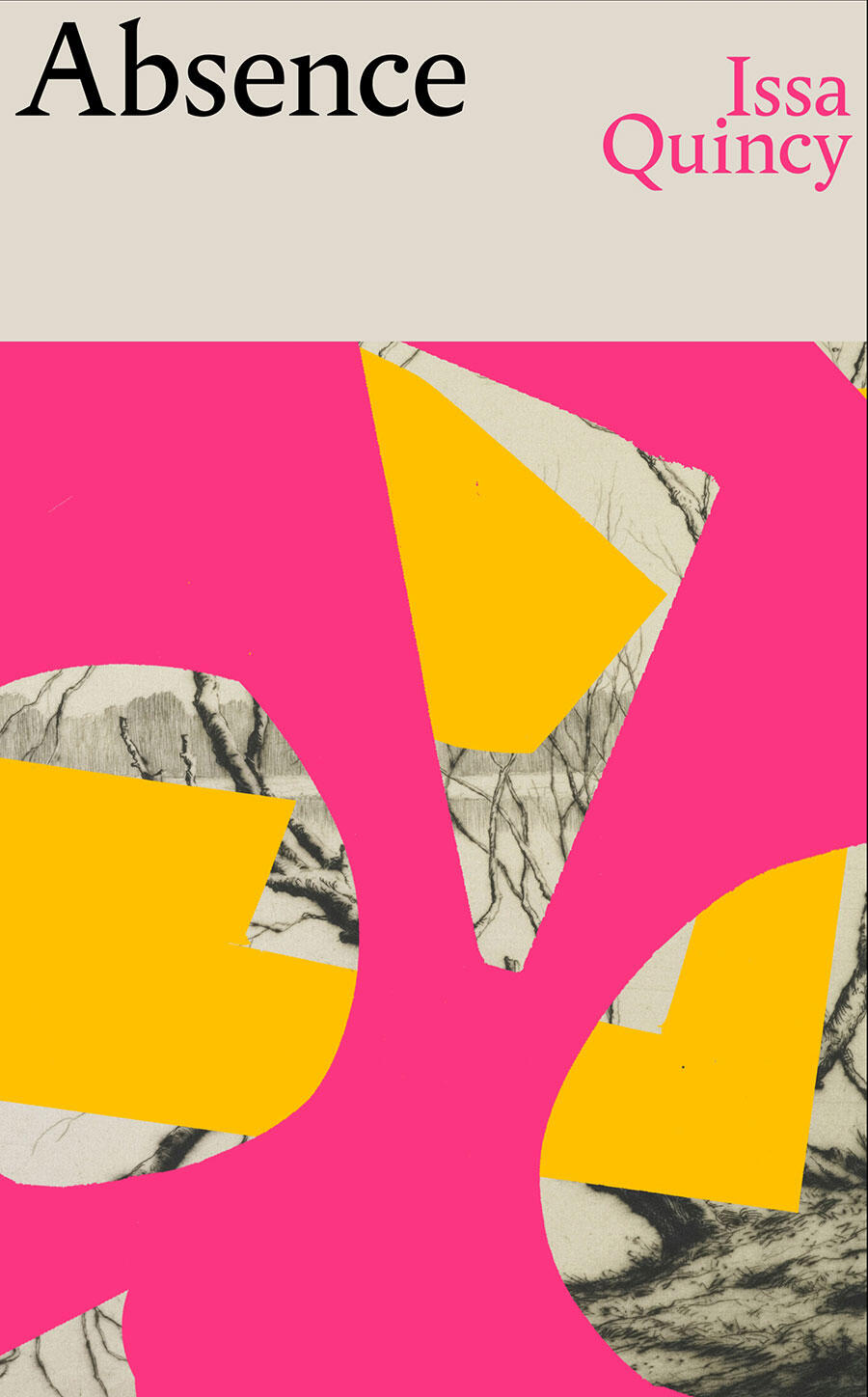 issa-quincy-book-cover