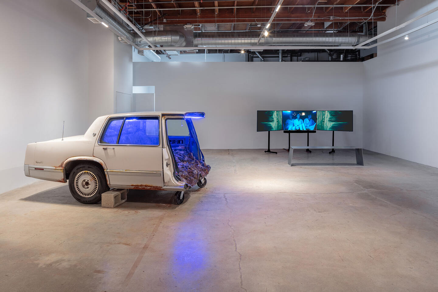 Alison-Nguyen-history-as-hypnosis-2024